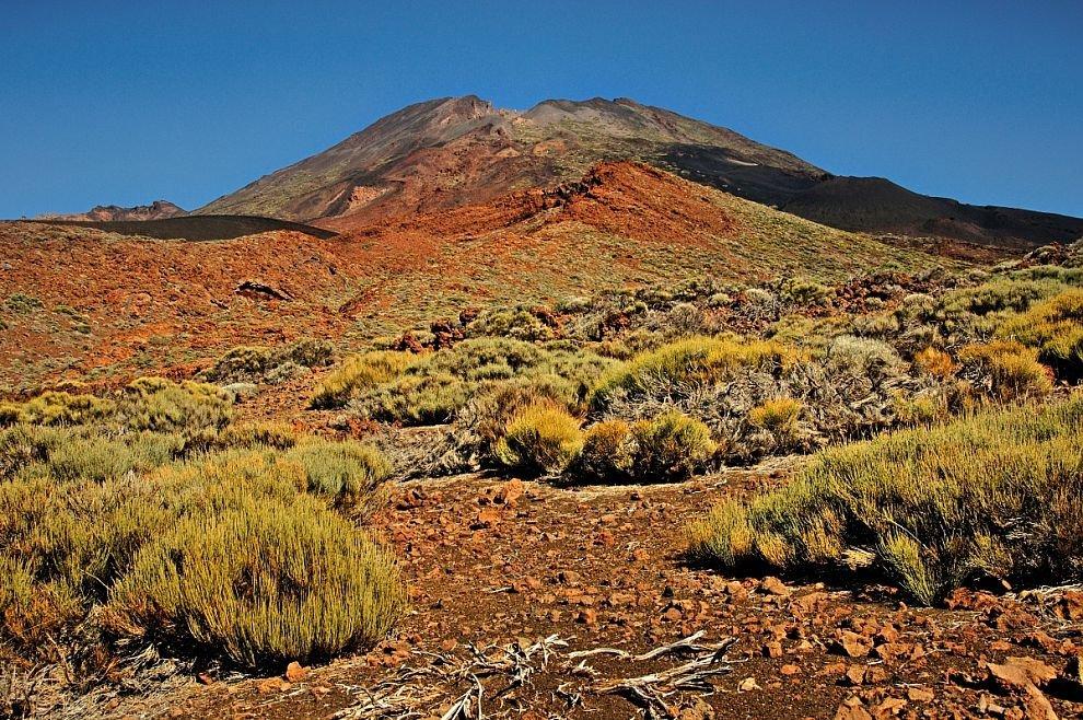Pico Viejo