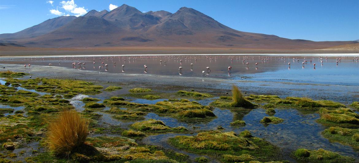 Laguna Caňapa