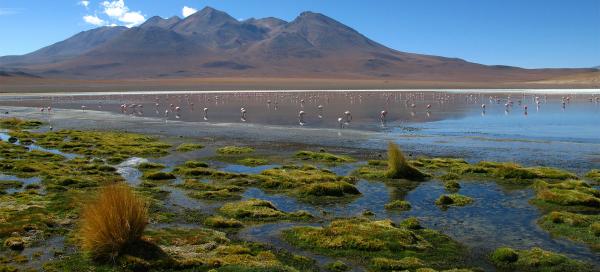 Laguna Caňapa