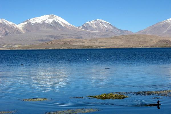 Nevados de Quimsachata