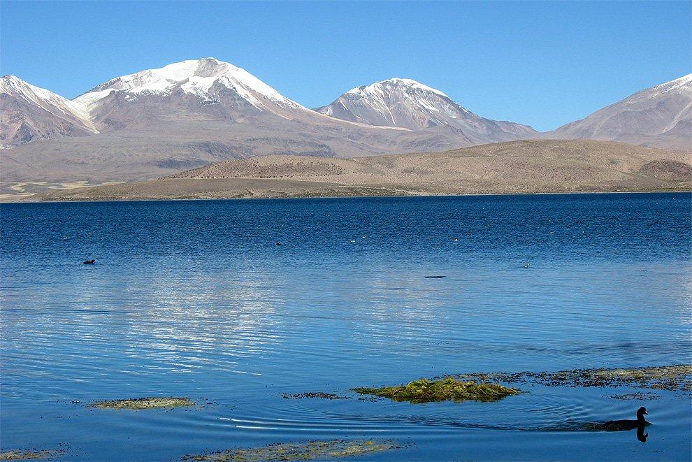 Nevados de Quimsachata