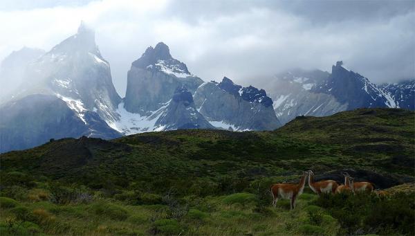 Cuernos del Paine a lamy