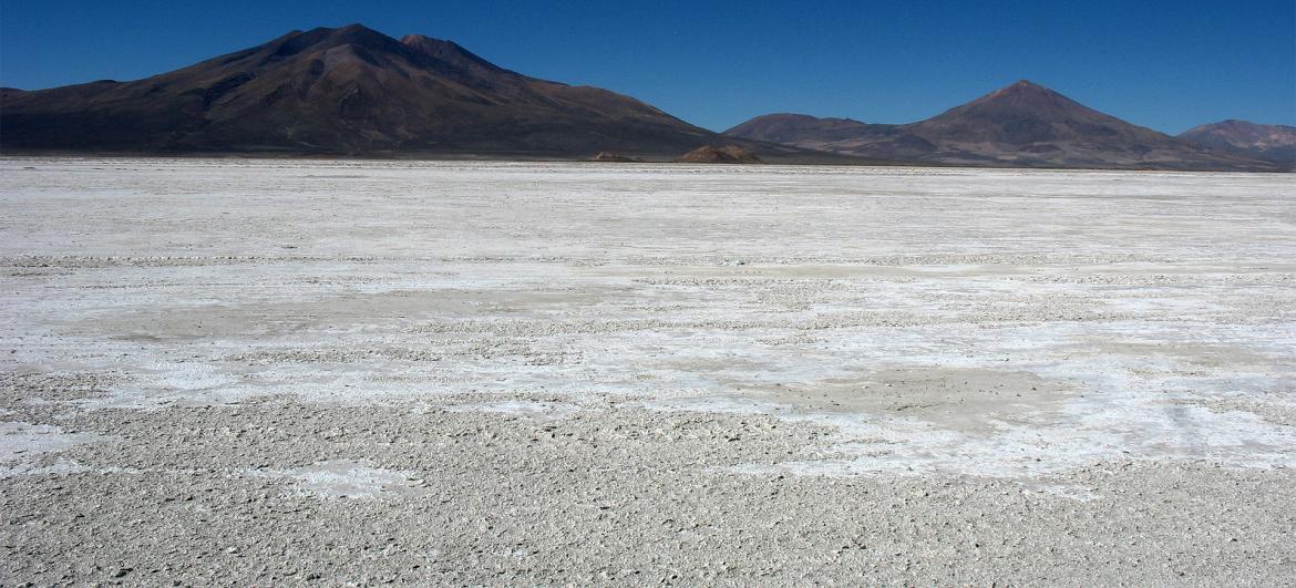 Salar de Chiguana