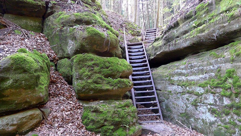 Ladders