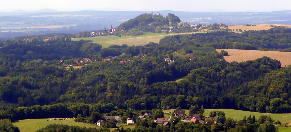 Vyskeř