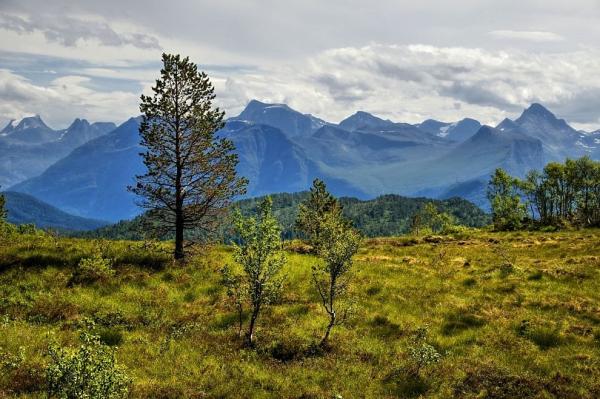 Na vrcholu Randsetfjellet