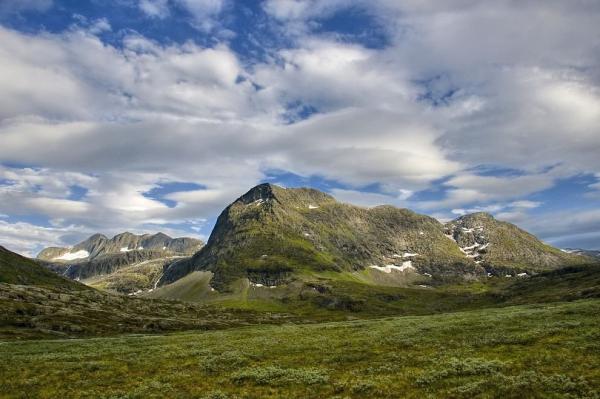 Skarfjellenden