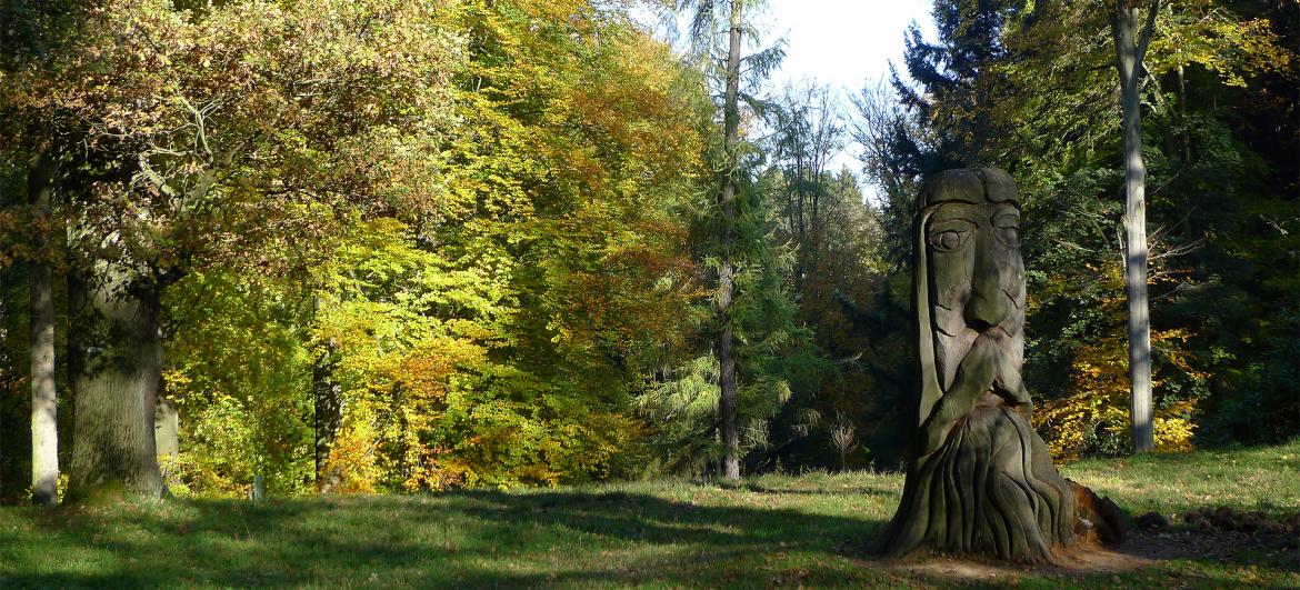 Česká republika: Zvířata a vegetace