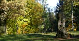 Arboretum Bukovina