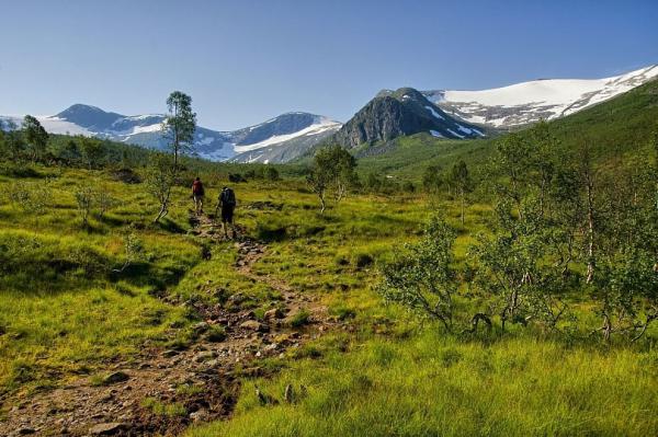 Countryside of Jostedalsbreen Nasjonalpa
