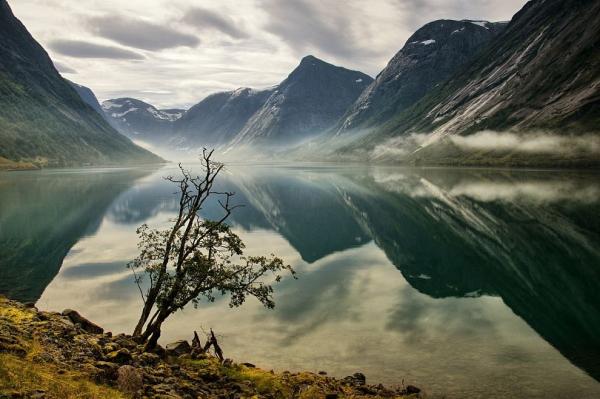 Kjosnefjorden