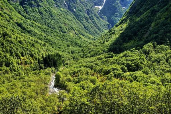 Tundalen