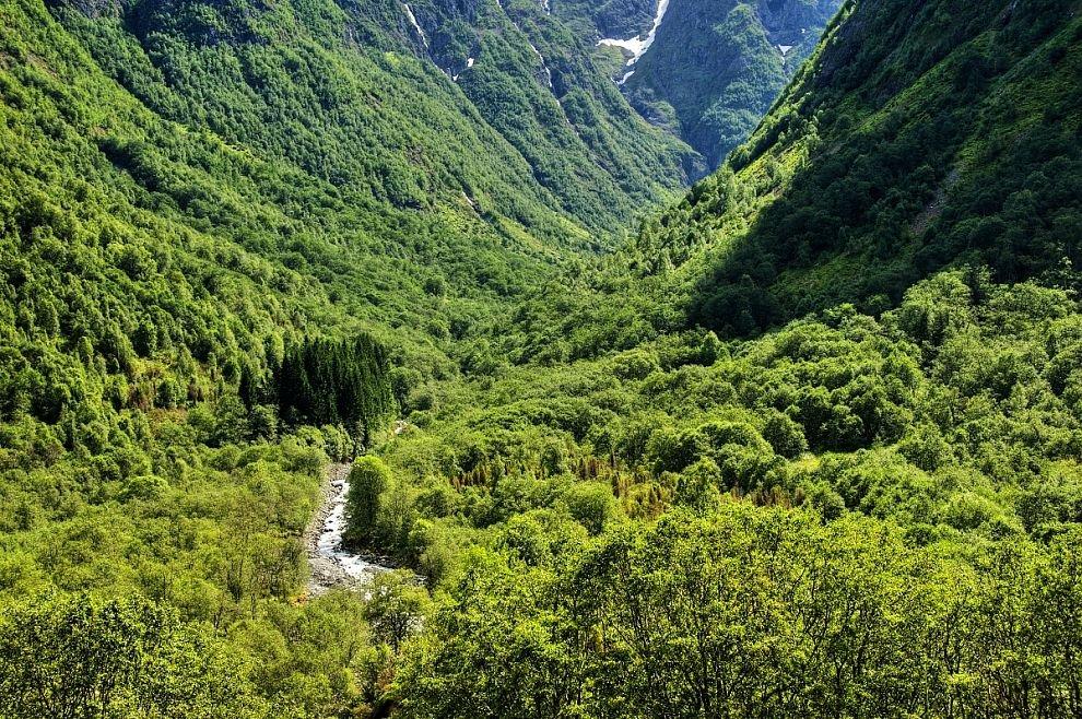 Tundalen