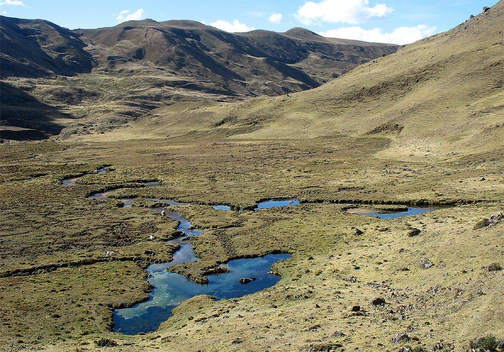 Bofedales v údolí Tayapampa
