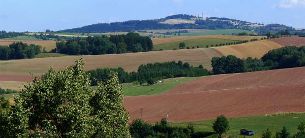Zvičina
