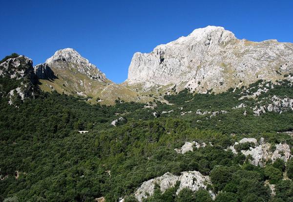 Outlook of Puig Major