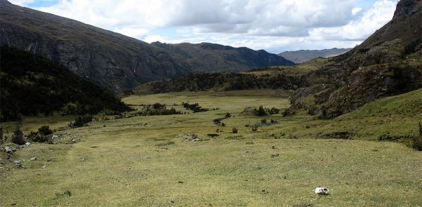 Meadows below the pass