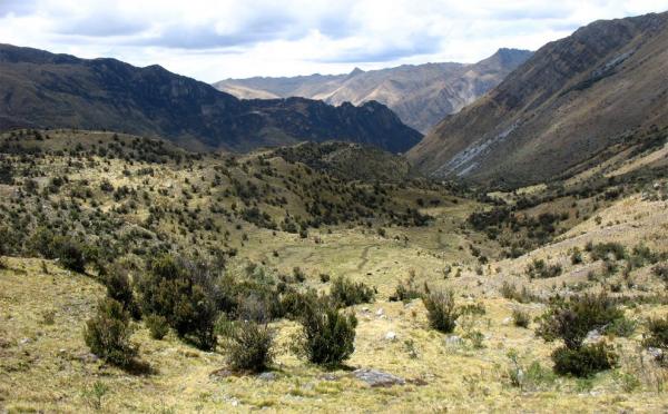 Walk through the barren countryside