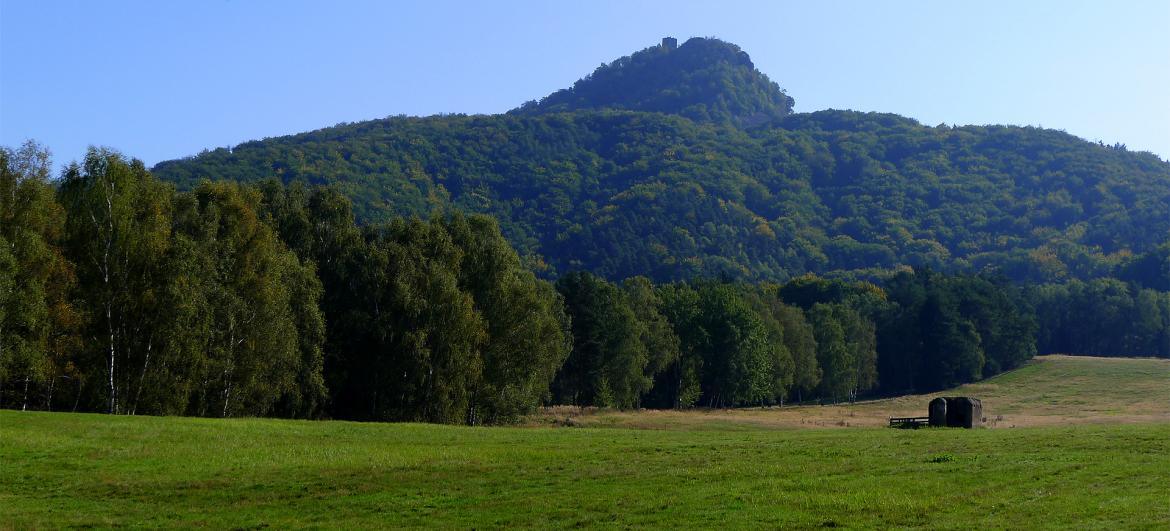 Ralsko