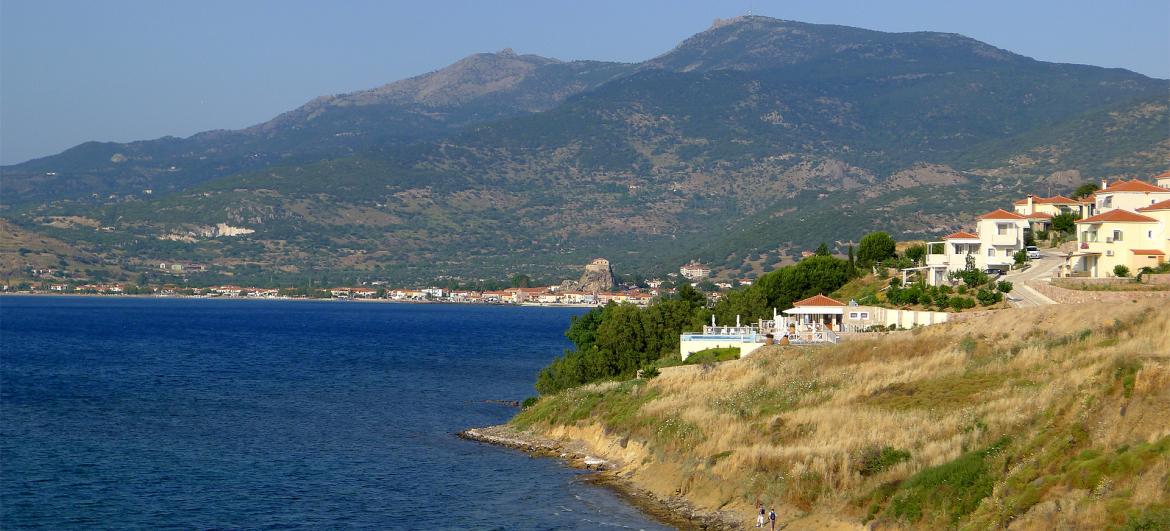 Lepetymnos