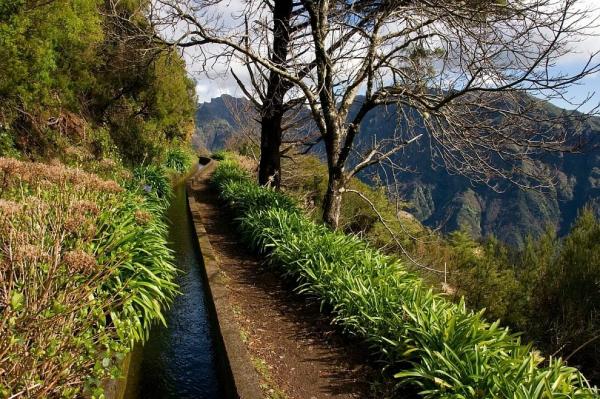 Levada