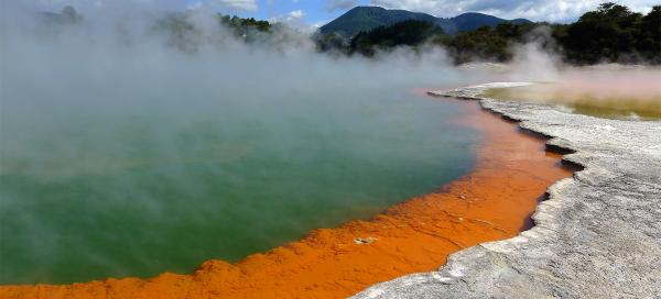 Champagne Pool