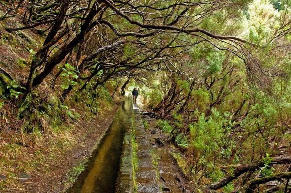 Levada das 25 Fontes