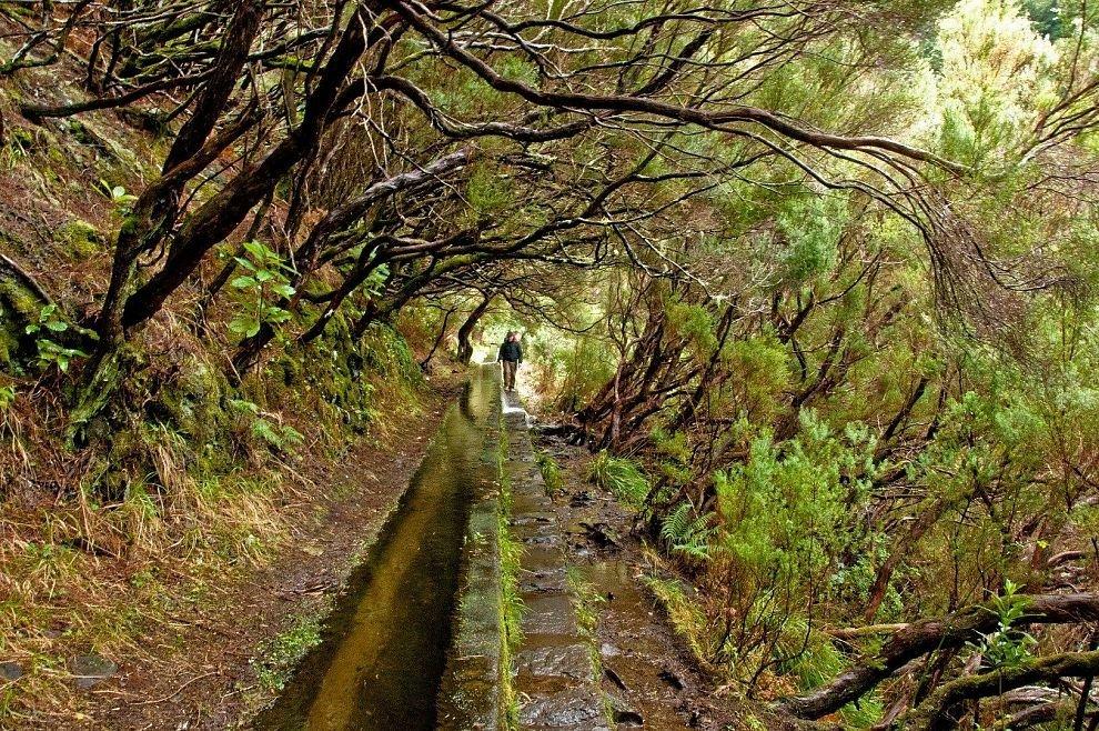 Levada das 25 Fontes