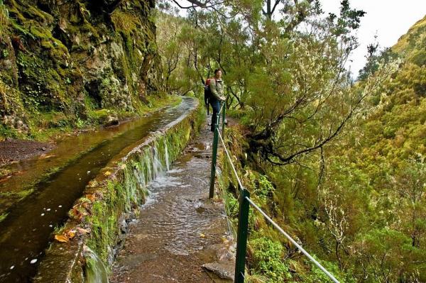 Levada das 25 Fontes