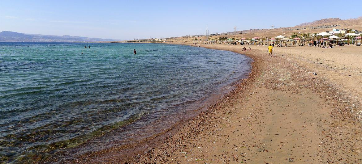 Pláž v Tala Bay