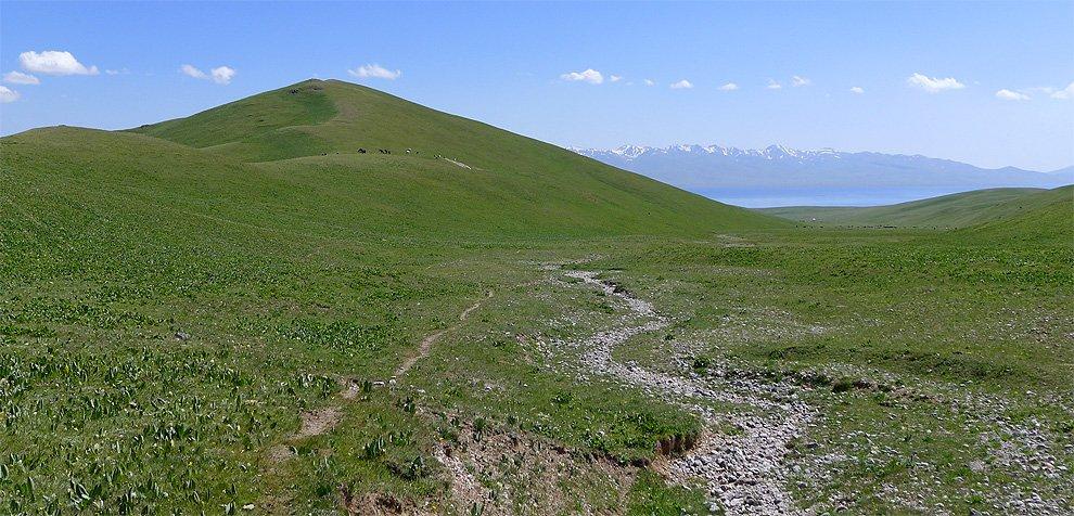 Pohled na travnatou horu