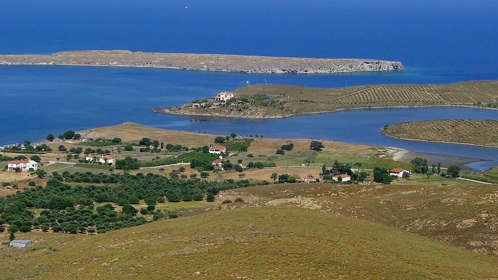 Osamocená vilka
