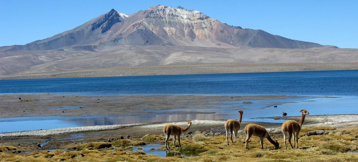 Cerro Quisiquisini