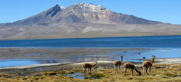 Cerro Quisiquisini