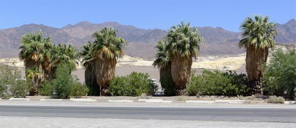Oáza Furnace Creek