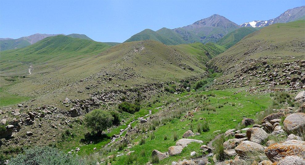 Malá oáza