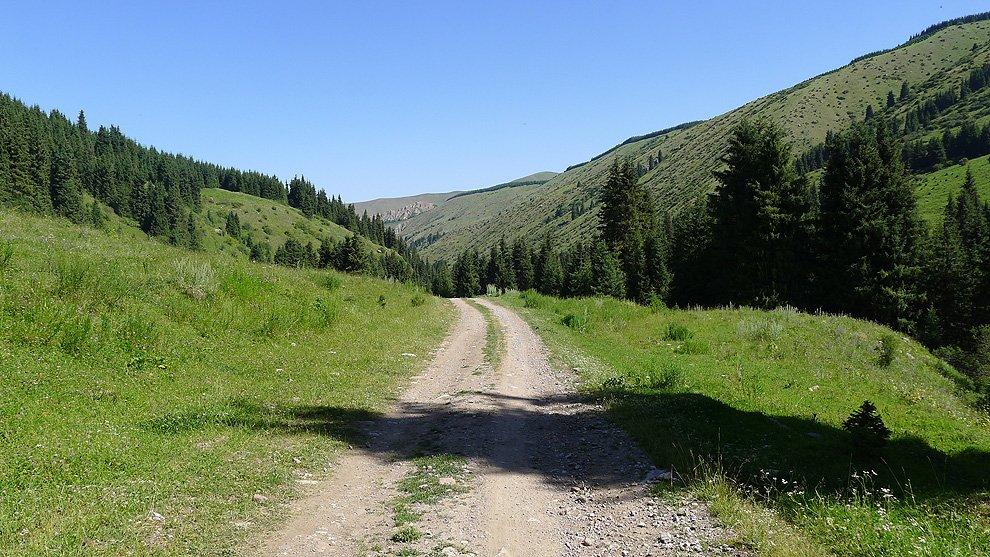 Cesta mezi lukami