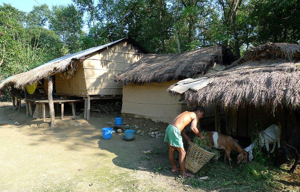 Domy národa Tharu