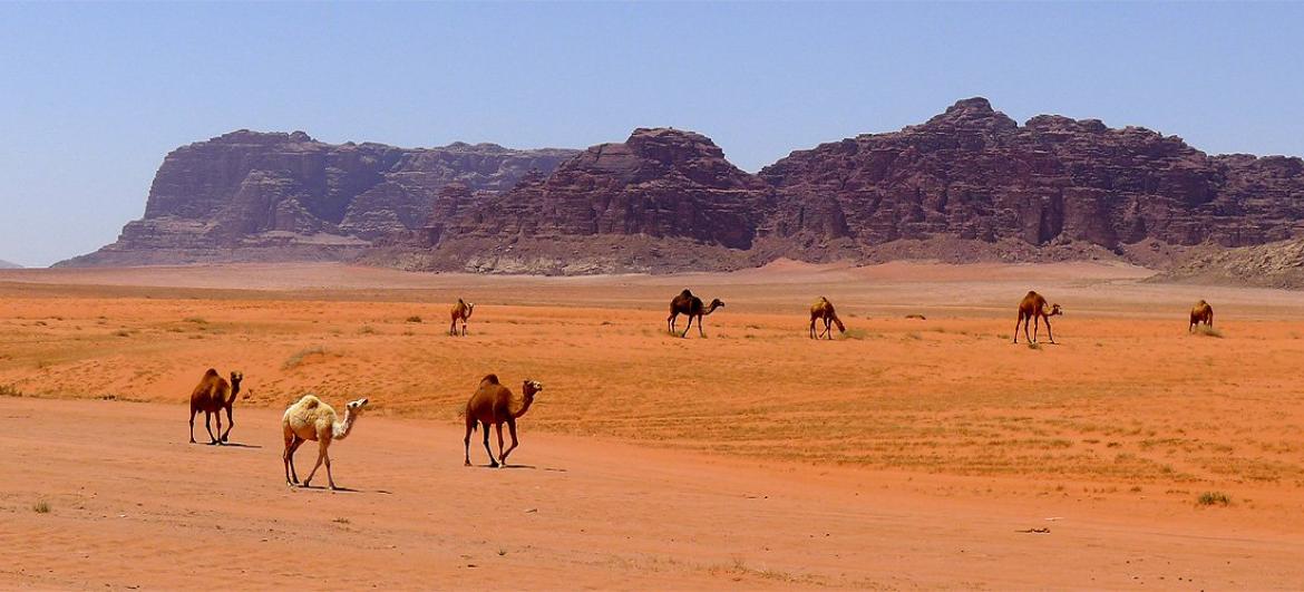 Výlet do pouště Wadi Rum