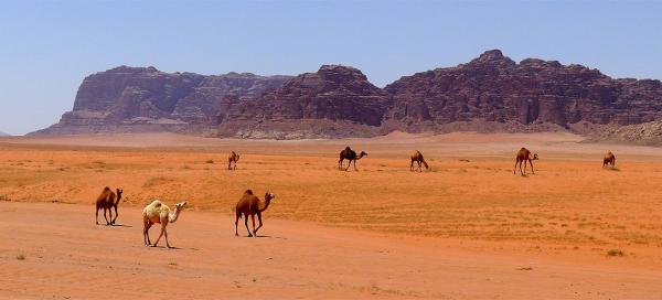 Výlet do pouště Wadi Rum
