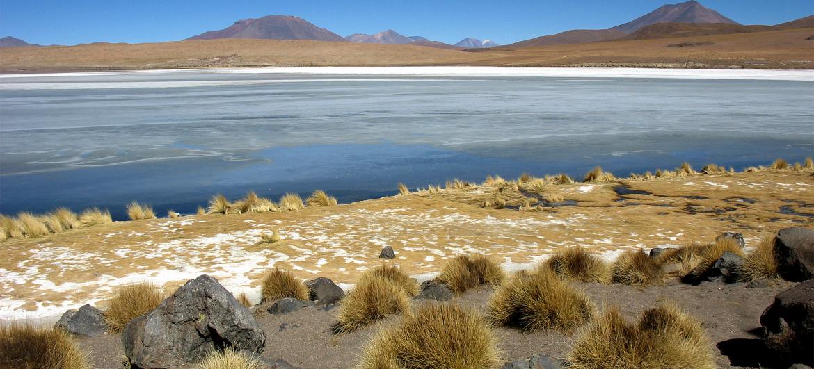 Salar Tour