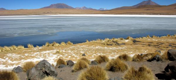 Salar Tour