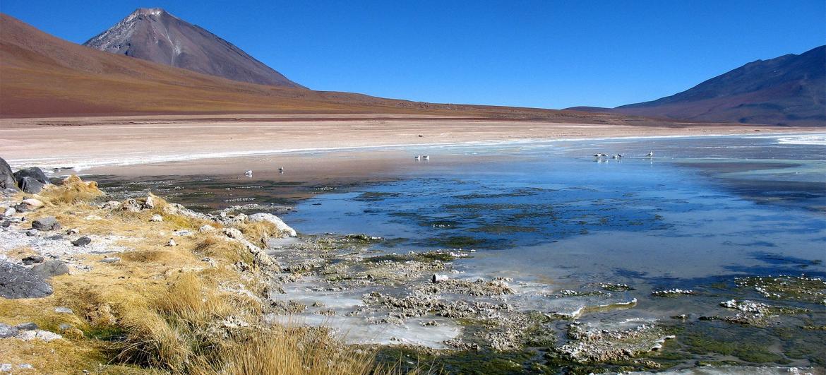 Stop at the Lagoon Blanca