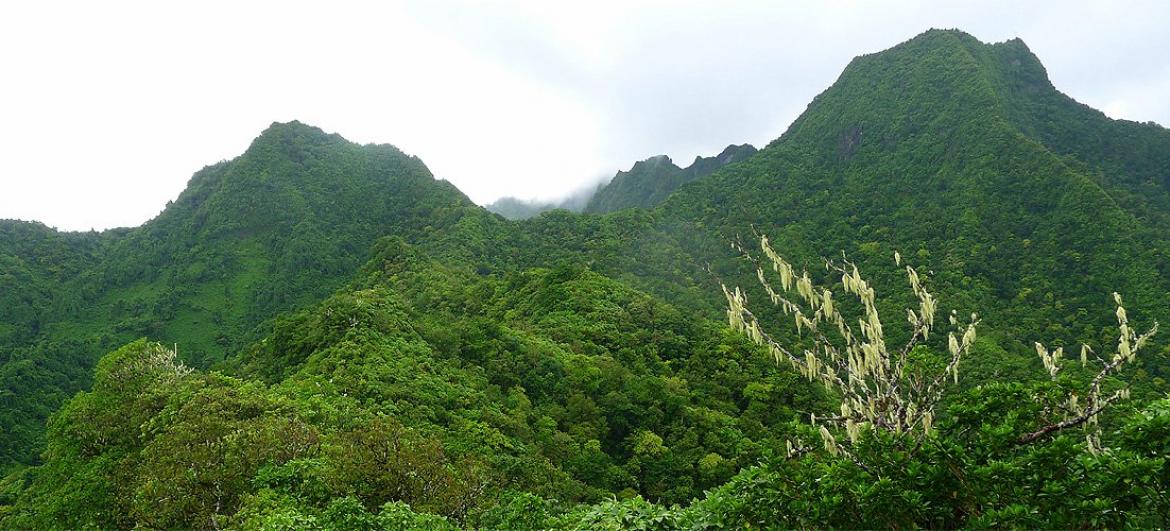 Trek across Rarotonga