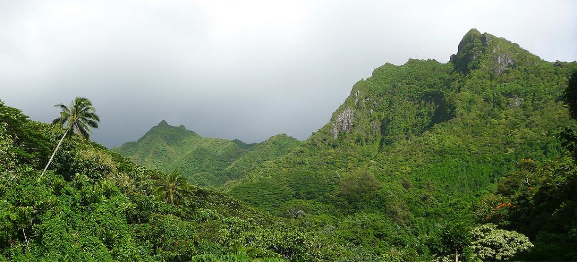 Avana trek: Víza