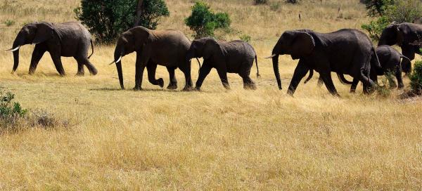 Kenya
