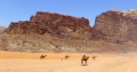Jízda pouští Wadi Rum I.