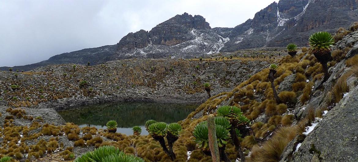 Túra Mt.Kenya Bandas - Mintos Hut