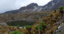 Túra Mt.Kenya Bandas - Mintos Hut