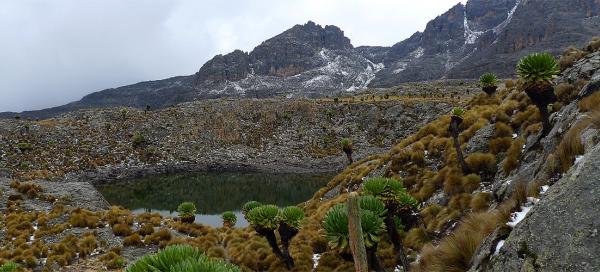 Túra Mt.Kenya Bandas - Mintos Hut